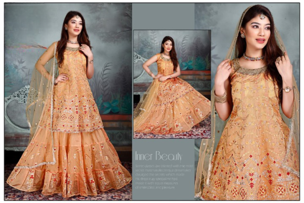 FANCY GOWN GHAGRI STYLE